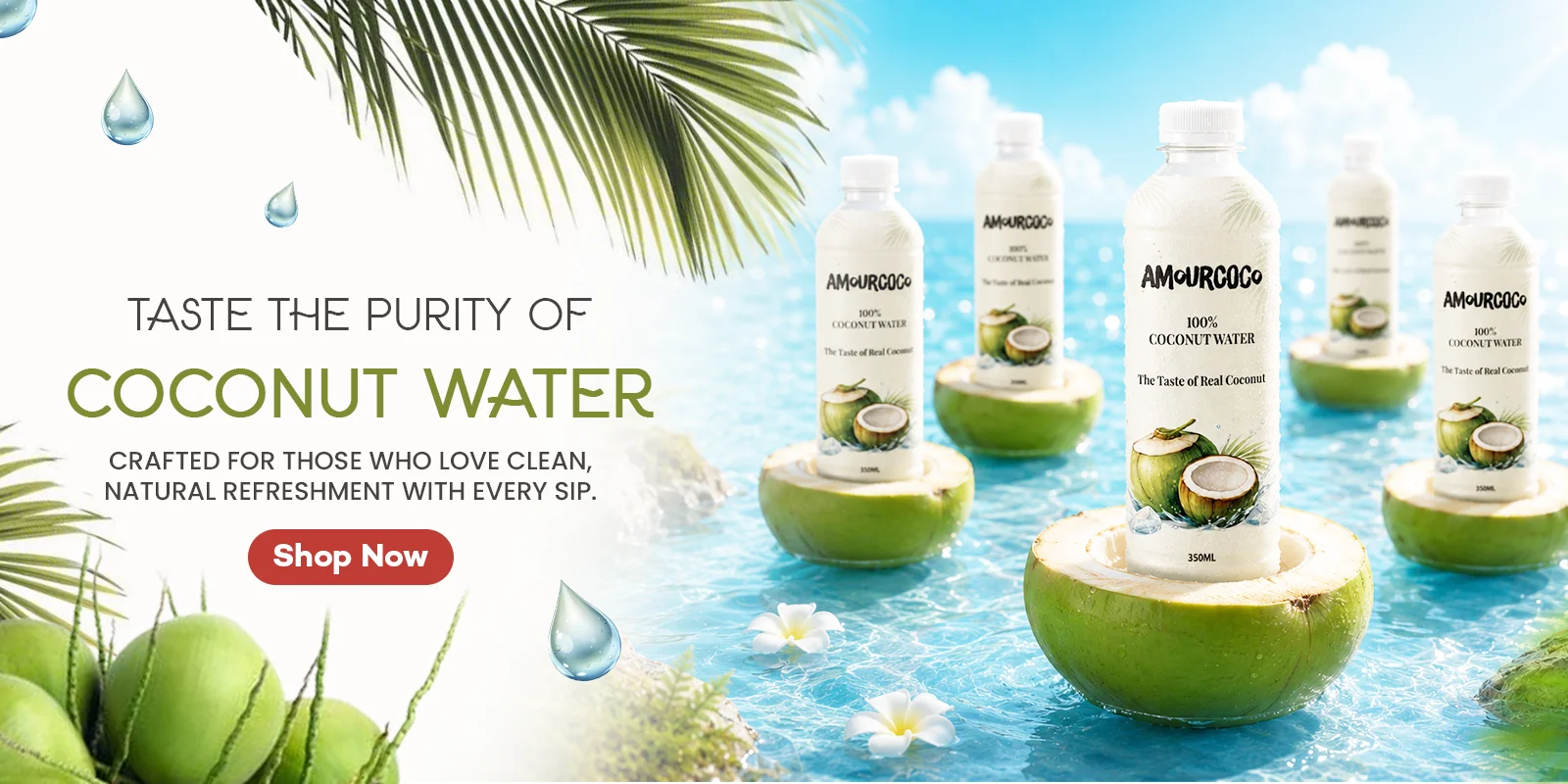 Coconut Water banner desktop